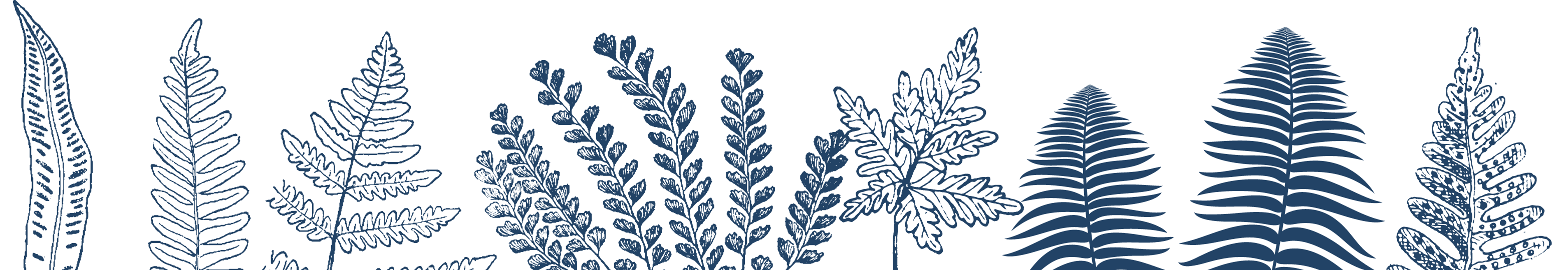 Illustration of blue foliage