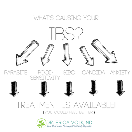 What is causing your IBS? Parasite, Food Sensitivity, SIBO, Candida, Anxiety. Treatment is available. You could feel better. 