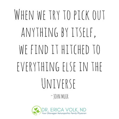 Quote: When we try to pick out anything by itself, we find it hitched to everything else in the universe. - John Muir